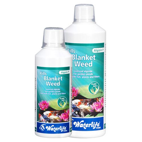 Waterlife Algizin Pond 250ml