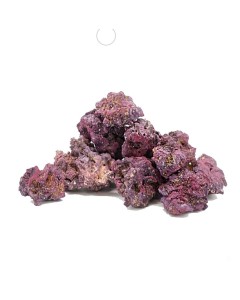 Caribsea Liferock Nano Original 10Lb - Finest Aquatics