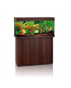Juwel Rio 180 LED Aquarium & Cabinet – Darkwood - Finest Aquatics