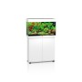 Juwel Rio 125 LED Aquarium & Cabinet – White - Finest Aquatics